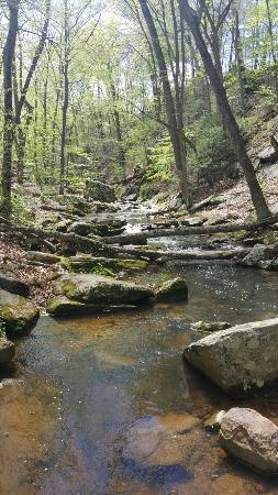 Hedden Park