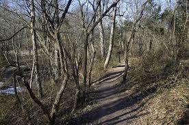 Mile Run