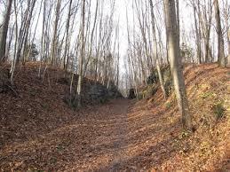 Sussex Branch Trail