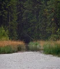 Cedar Creek