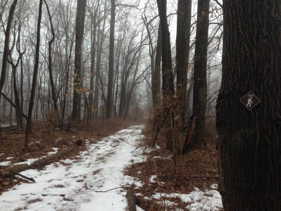 Franklin Park Natural Area